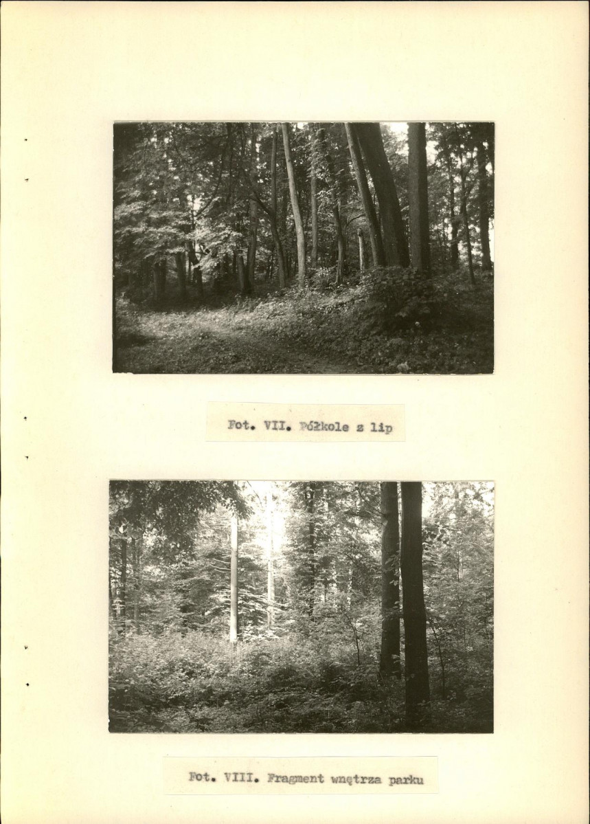 Ewidencja parkowa, skan nr 40