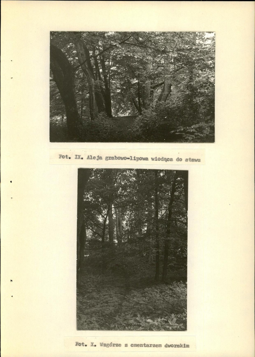 Ewidencja parkowa, skan nr 41