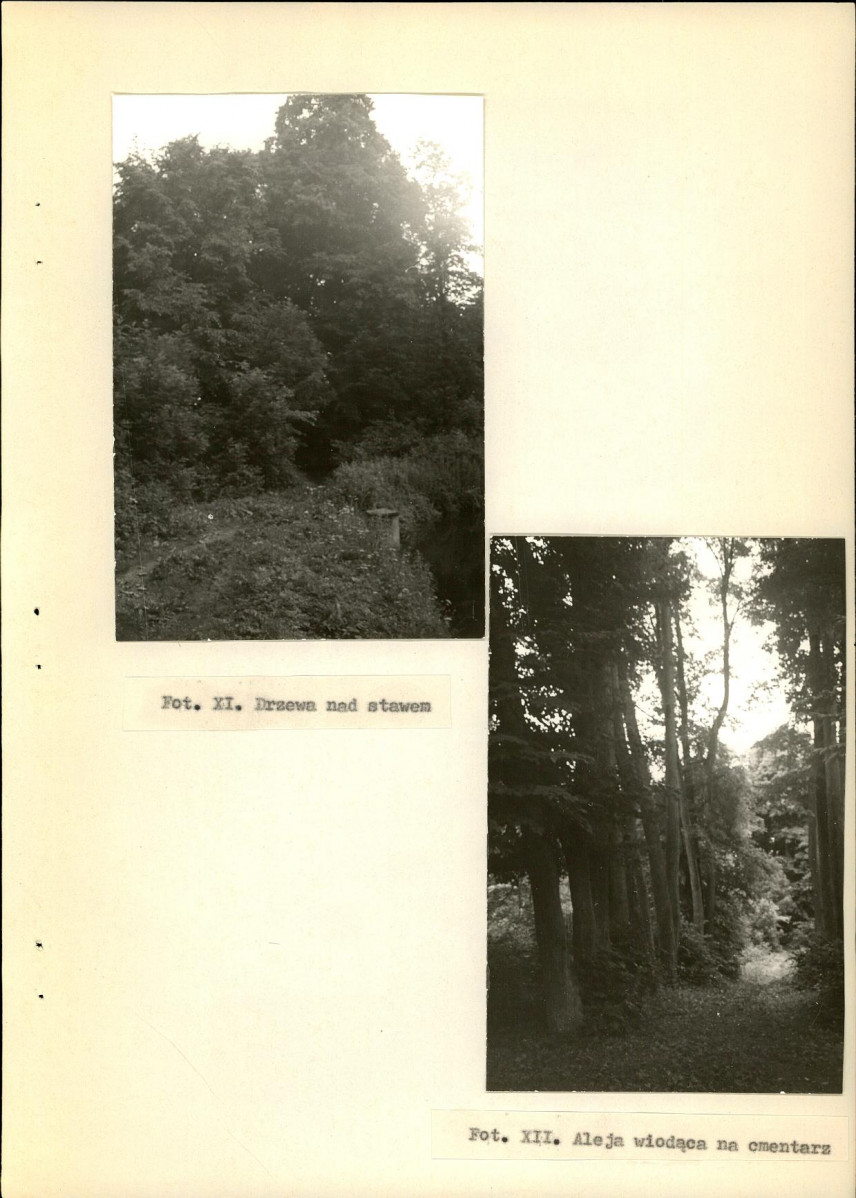 Ewidencja parkowa, skan nr 42