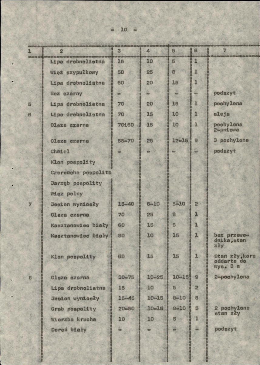 Ewidencja parkowa, skan nr 19