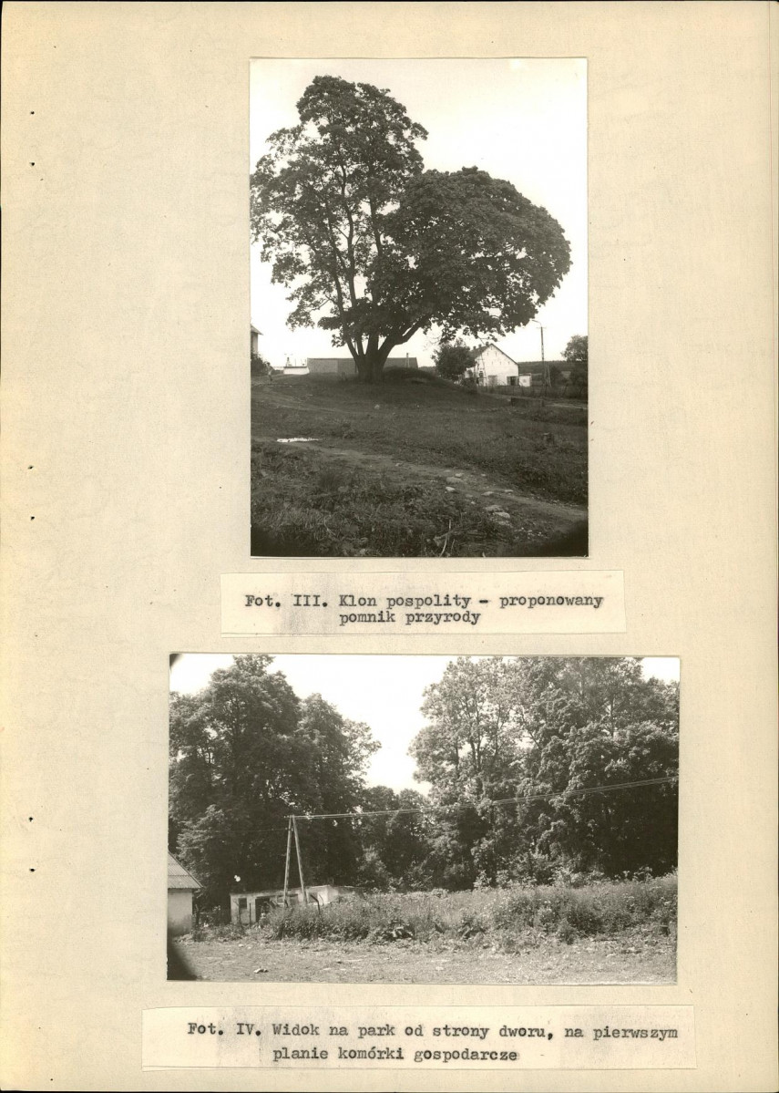 Ewidencja parkowa, skan nr 28