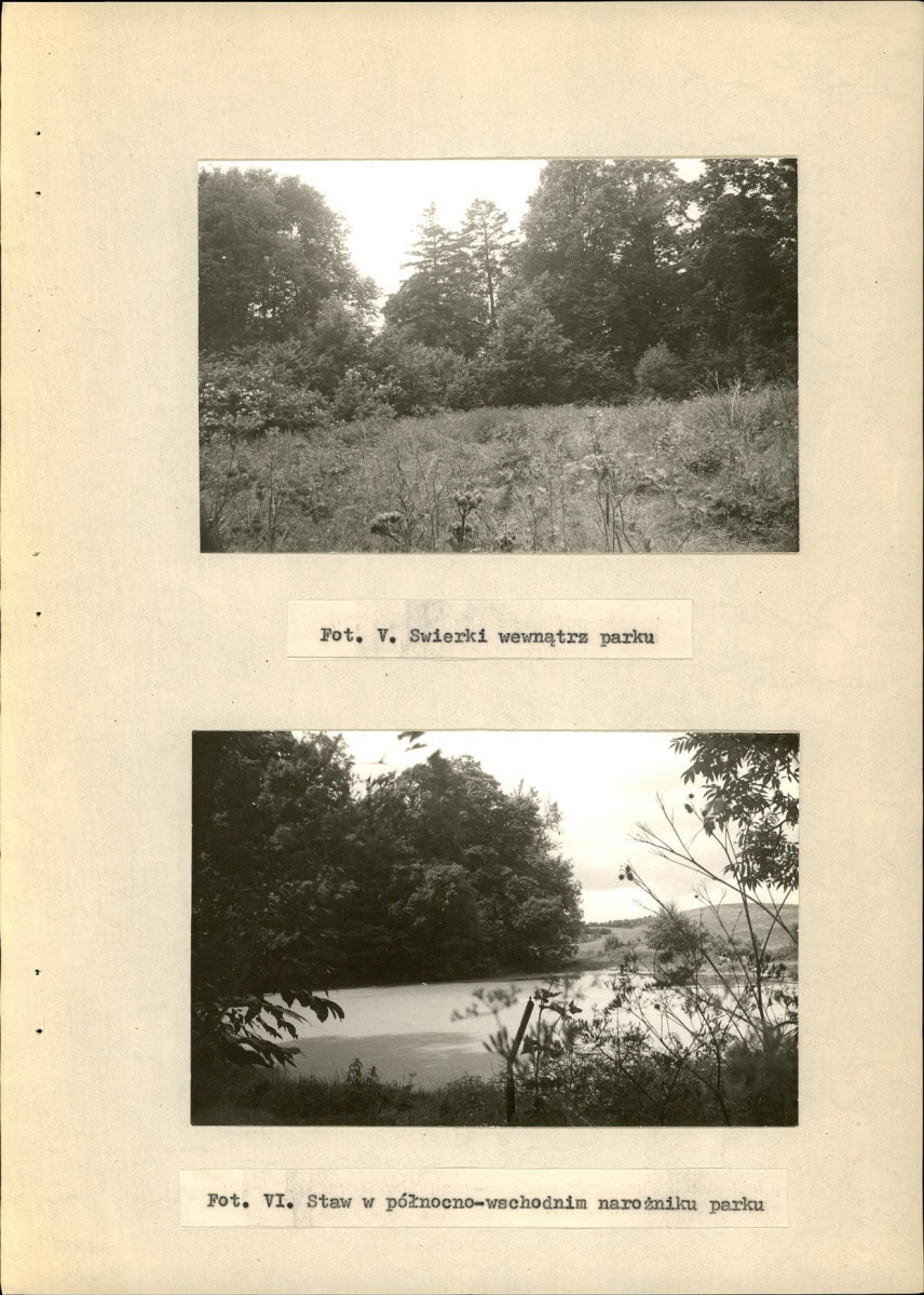 Ewidencja parkowa, skan nr 29