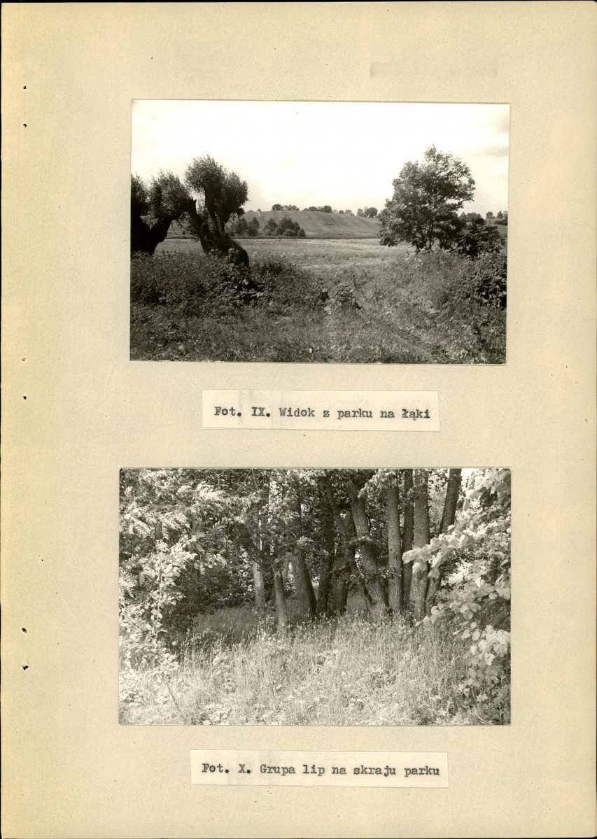 Ewidencja parkowa, skan nr 31