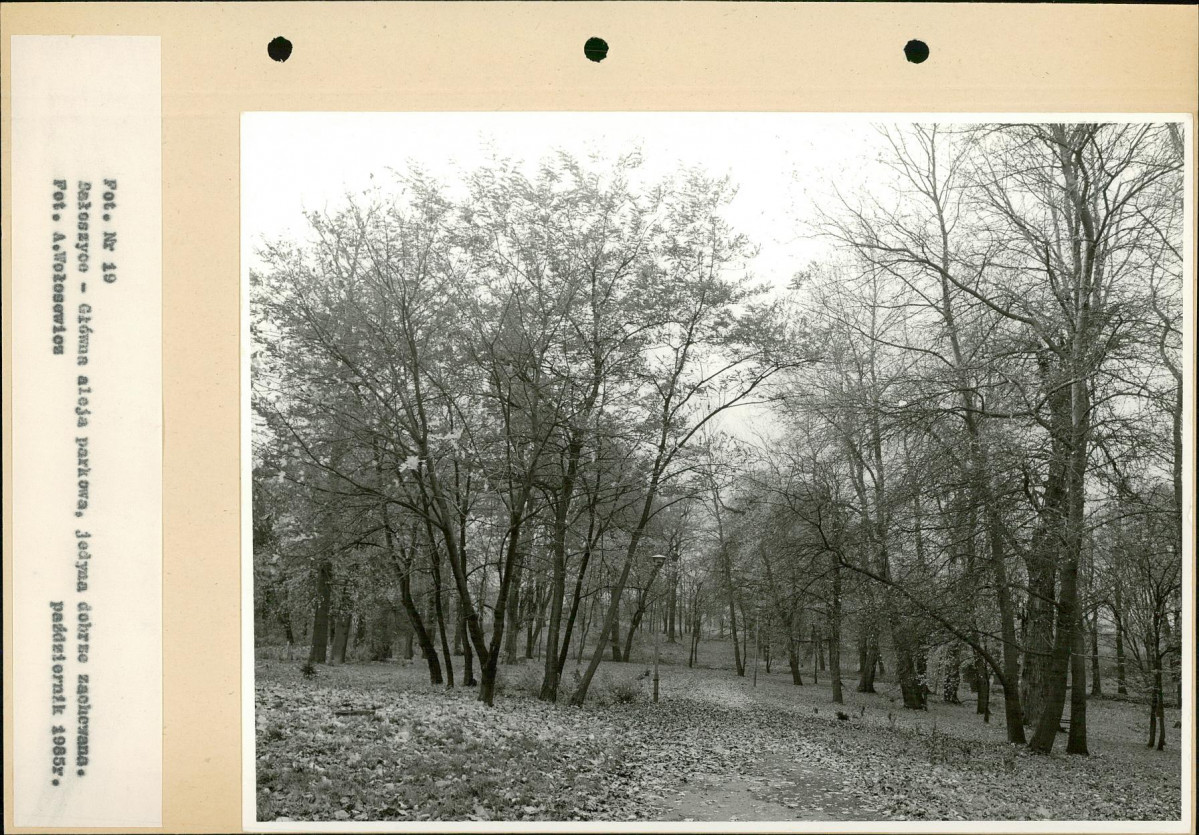 Ewidencja parkowa, skan nr 44