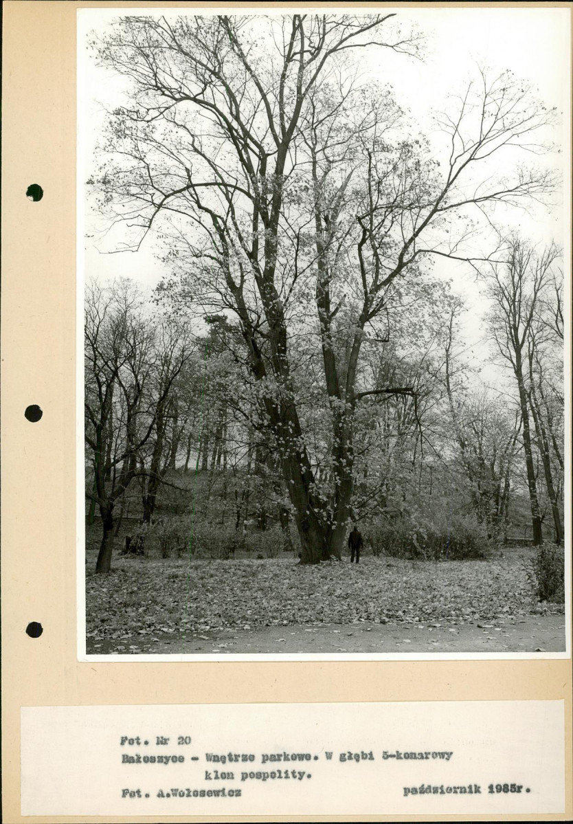 Ewidencja parkowa, skan nr 45