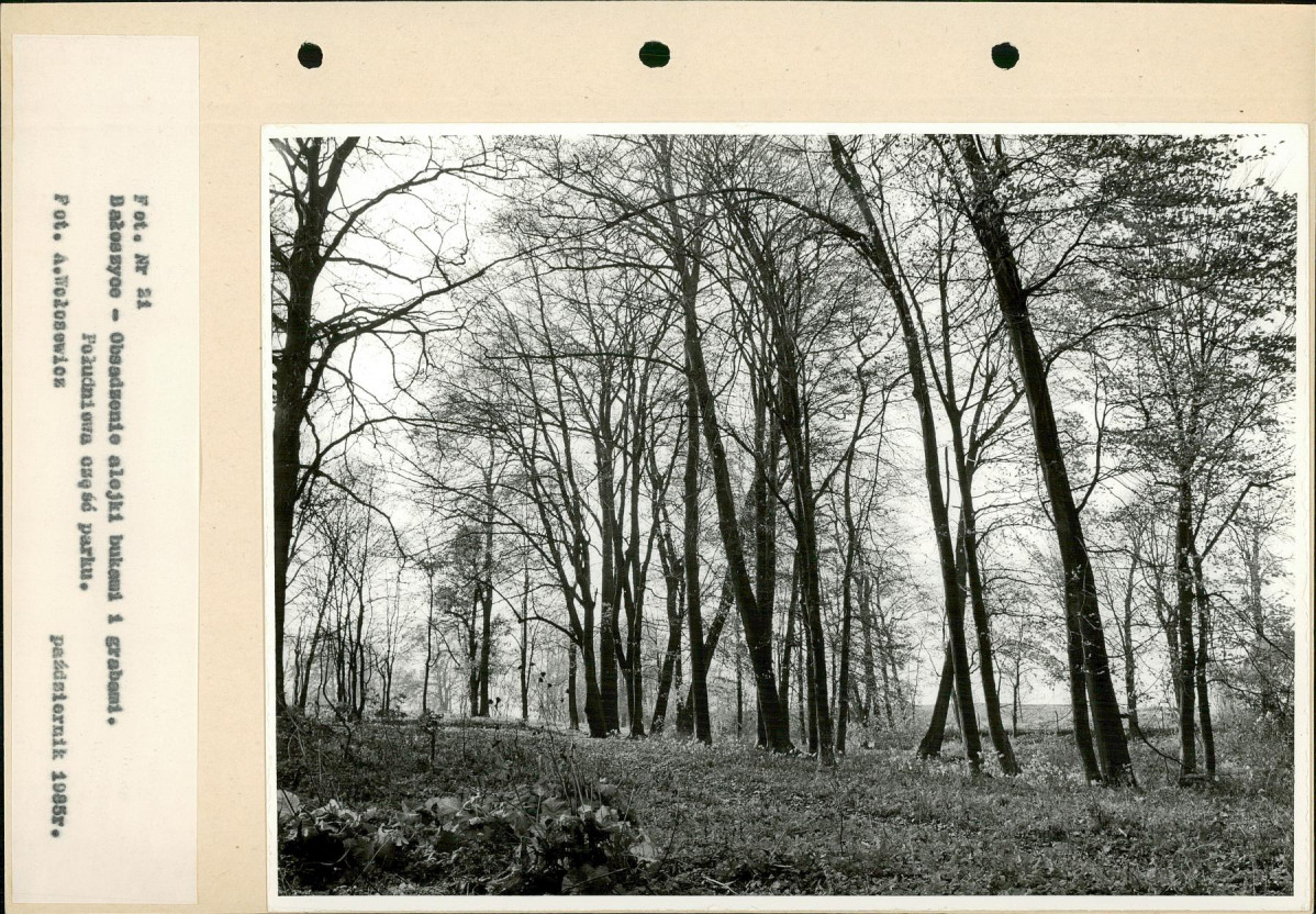 Ewidencja parkowa, skan nr 46