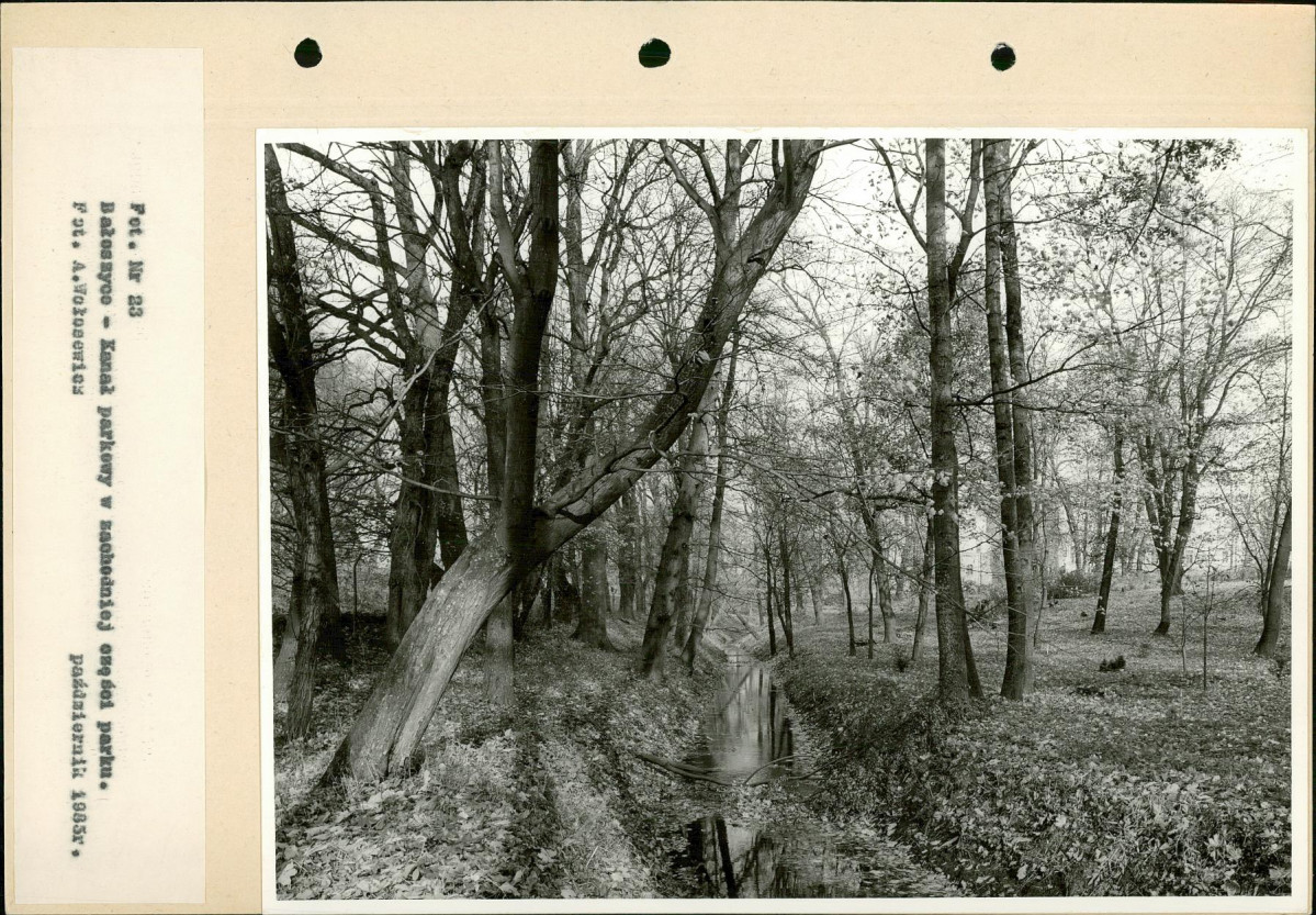 Ewidencja parkowa, skan nr 48