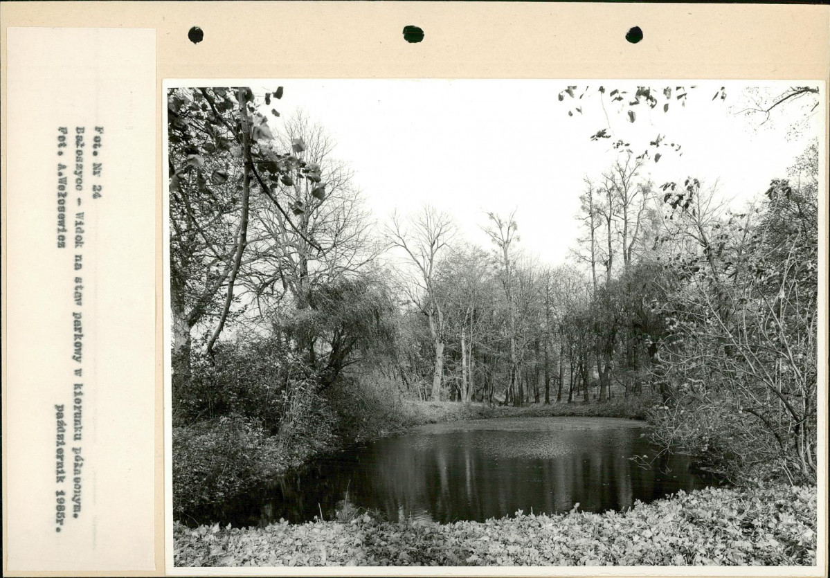 Ewidencja parkowa, skan nr 49