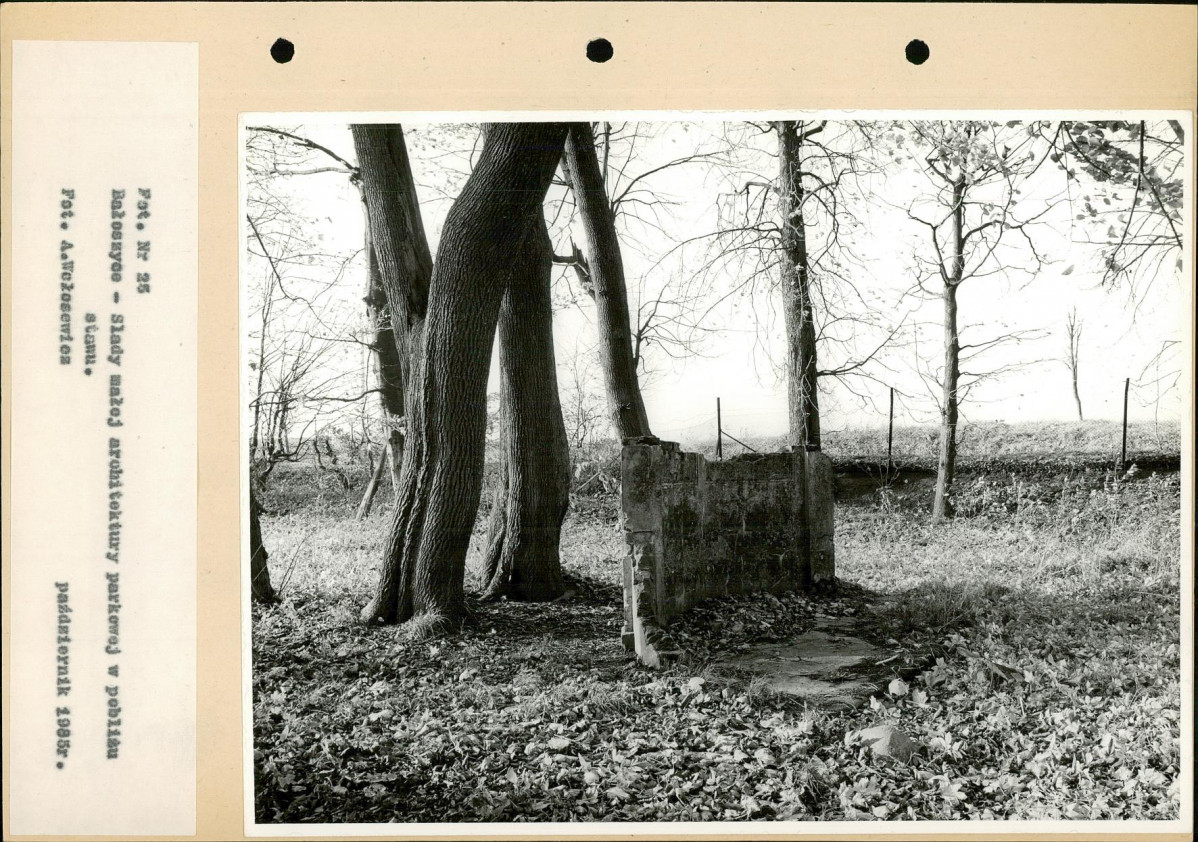 Ewidencja parkowa, skan nr 50