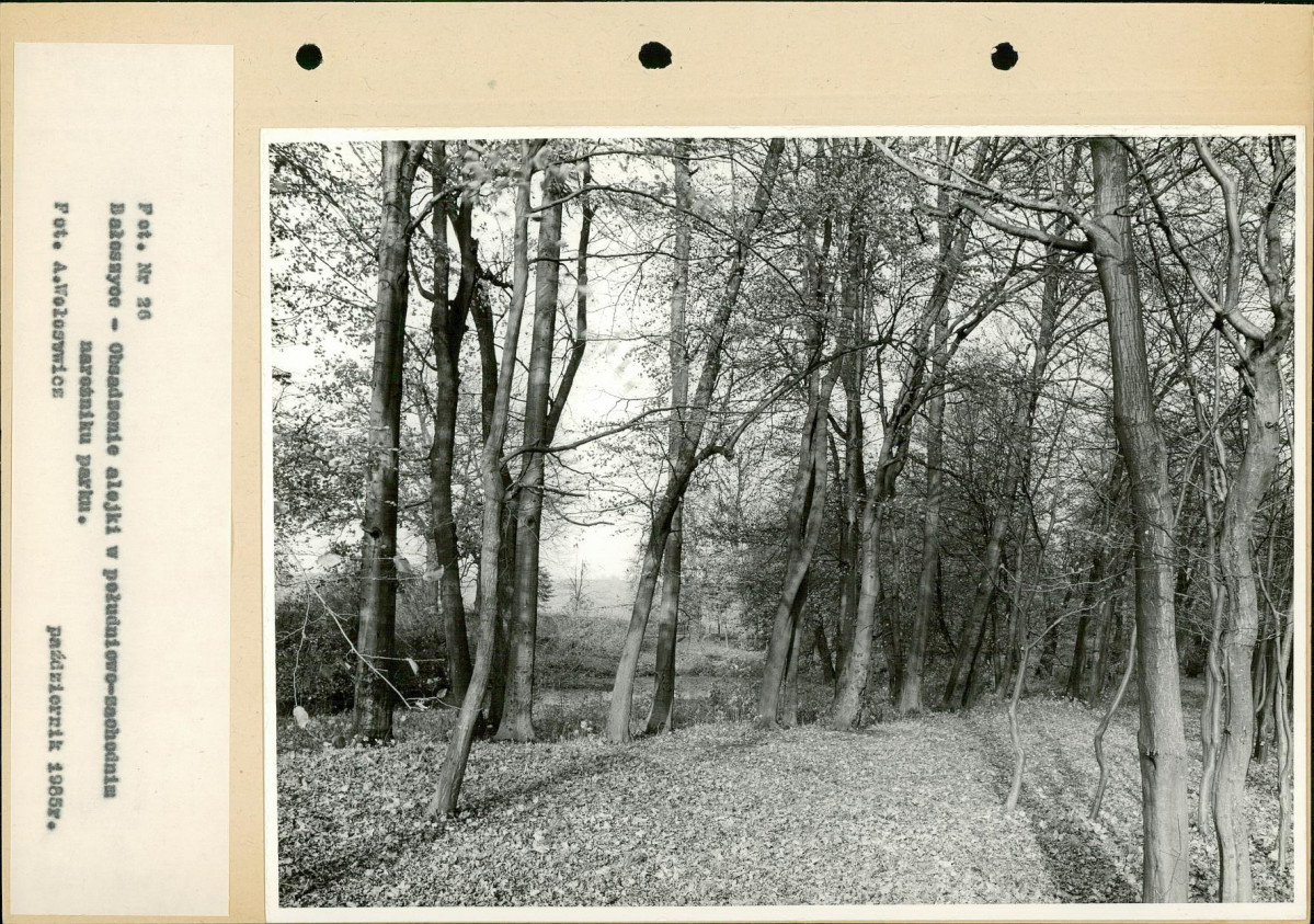 Ewidencja parkowa, skan nr 51