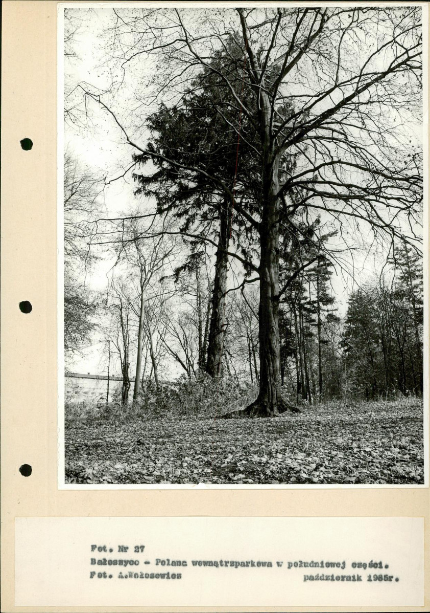 Ewidencja parkowa, skan nr 52