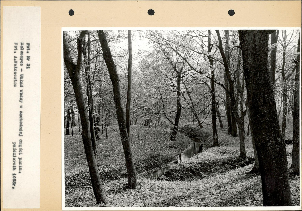 Ewidencja parkowa, skan nr 56