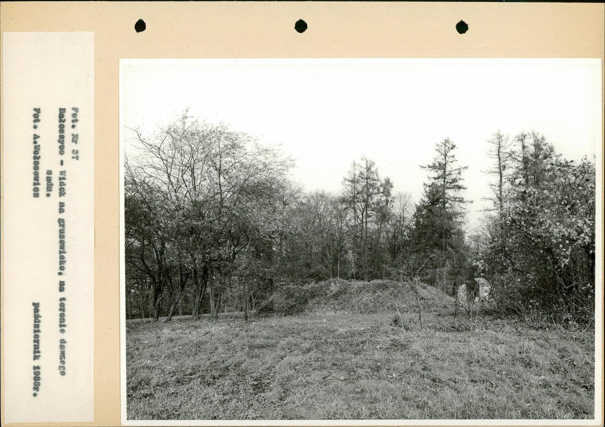 Ewidencja parkowa, skan nr 62
