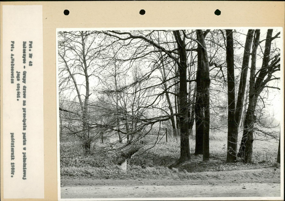 Ewidencja parkowa, skan nr 67