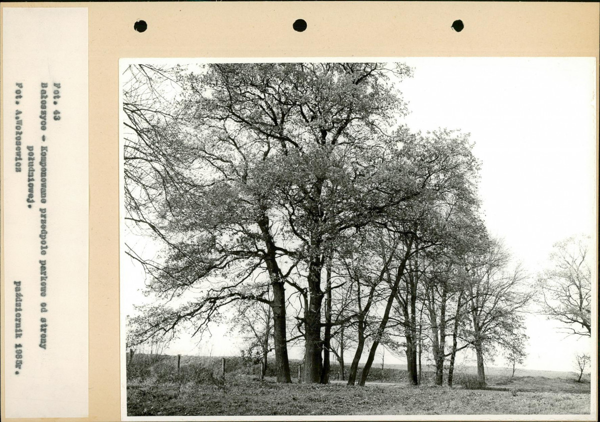 Ewidencja parkowa, skan nr 68