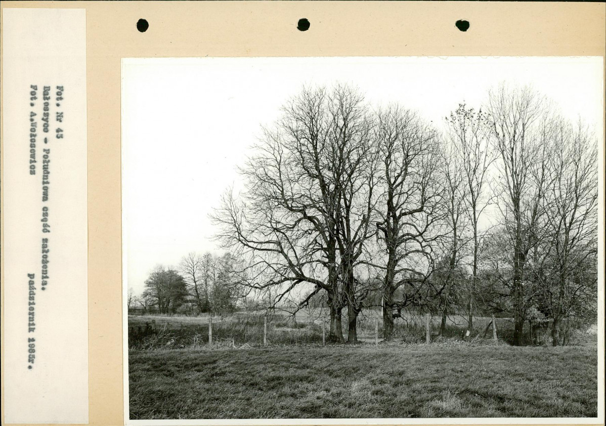Ewidencja parkowa, skan nr 70