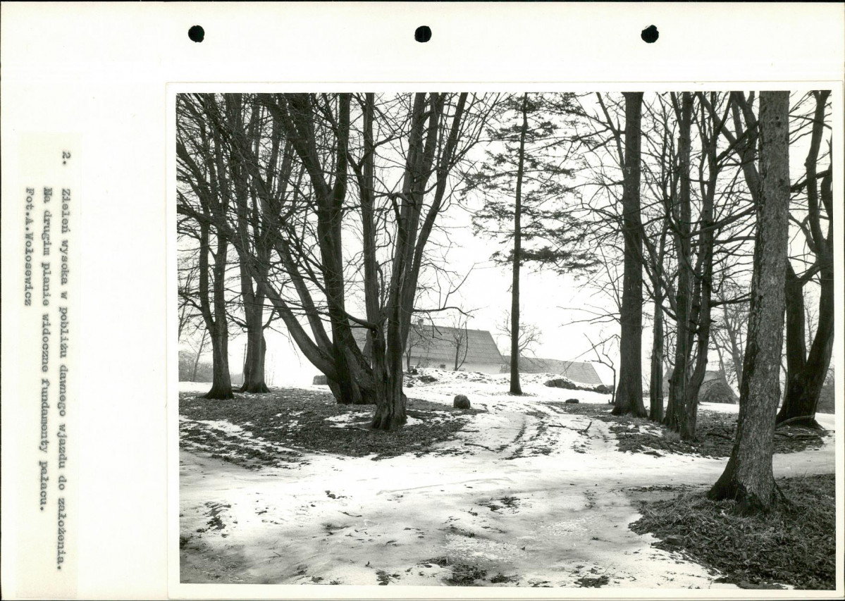 Ewidencja parkowa, skan nr 29