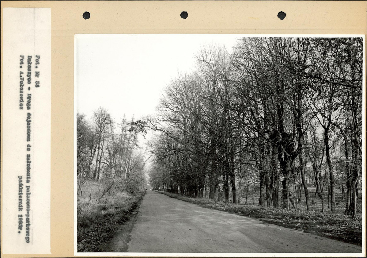 Ewidencja parkowa, skan nr 80