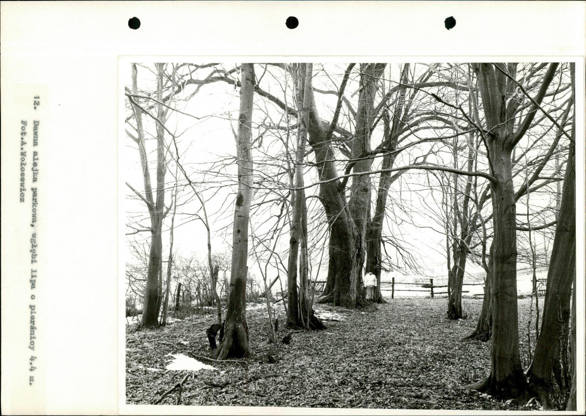 Ewidencja parkowa, skan nr 40