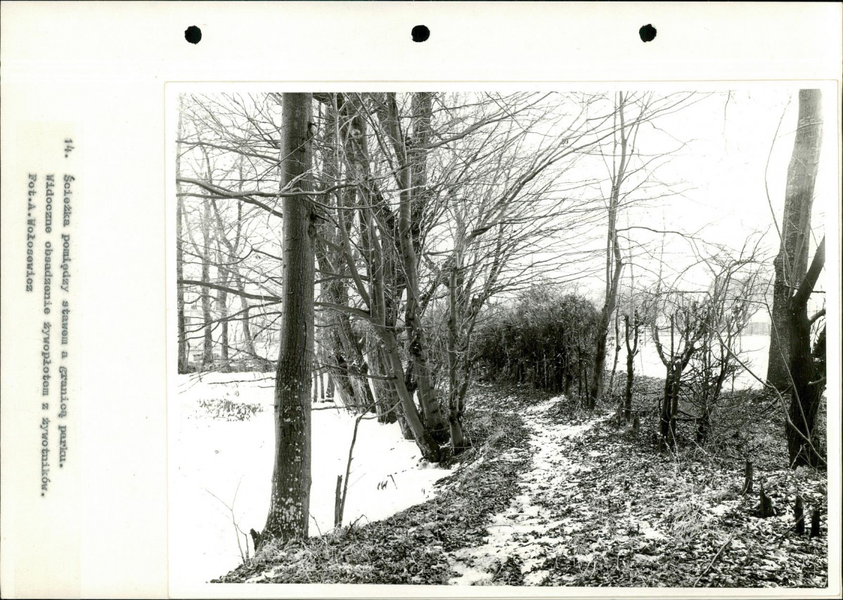 Ewidencja parkowa, skan nr 42