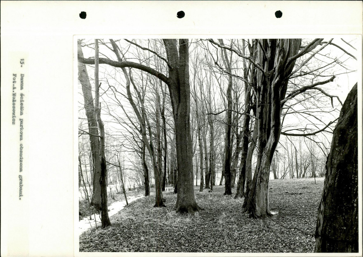 Ewidencja parkowa, skan nr 43
