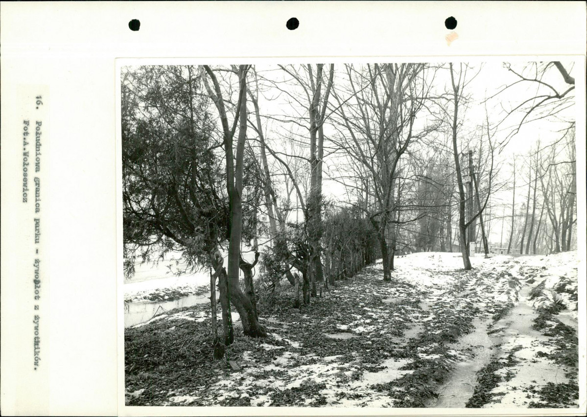 Ewidencja parkowa, skan nr 44