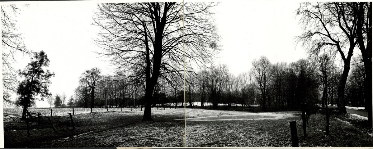 Ewidencja parkowa, skan nr 48