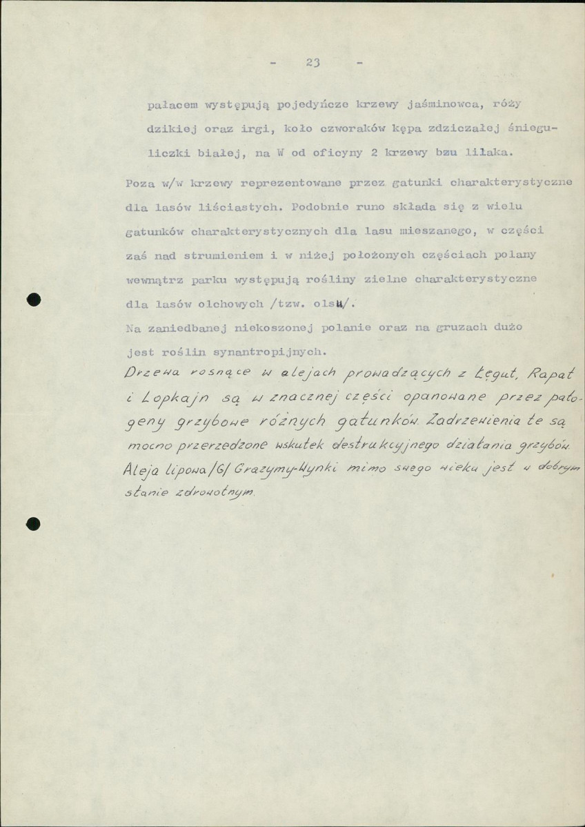 Ewidencja parkowa, skan nr 36