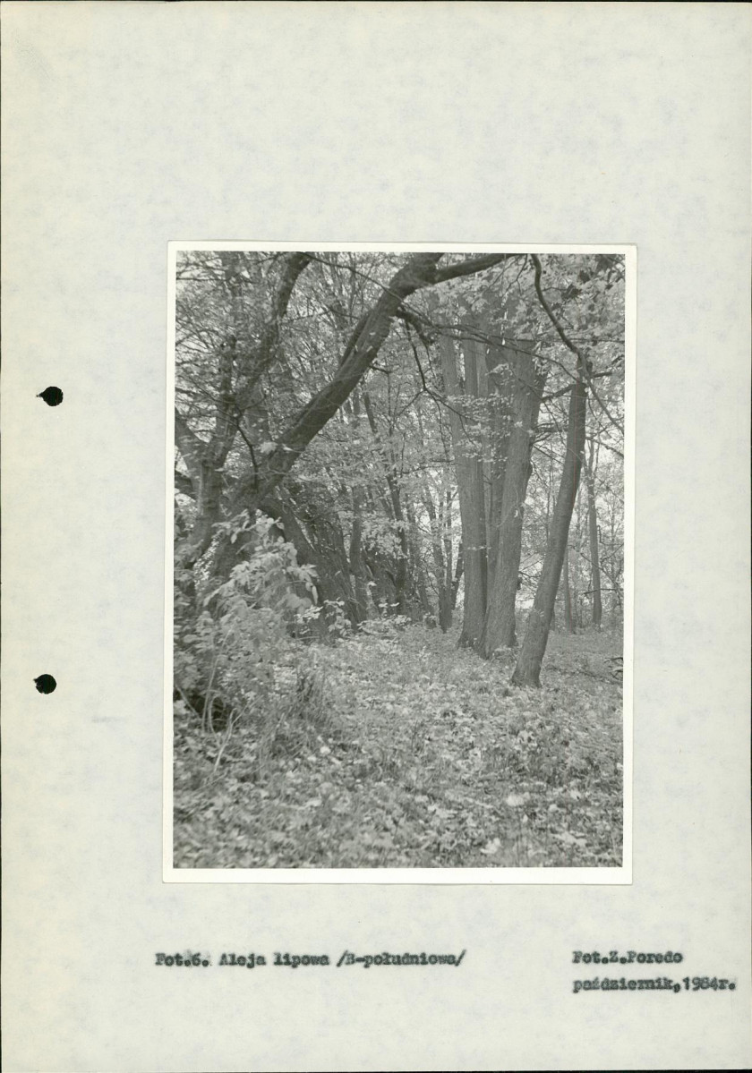 Ewidencja parkowa, skan nr 32