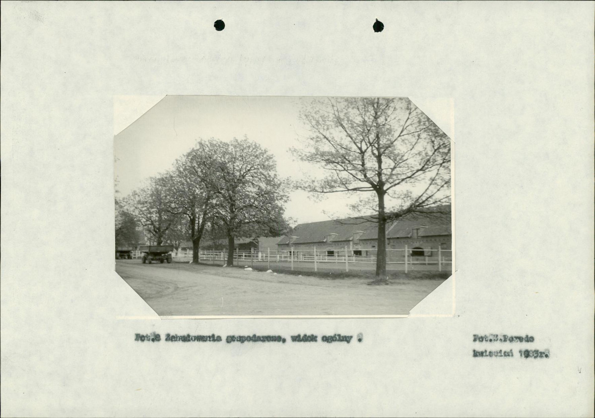 Ewidencja parkowa, skan nr 23