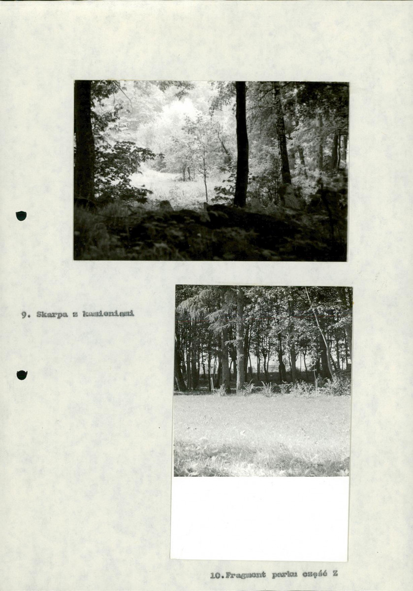 Ewidencja parkowa, skan nr 43