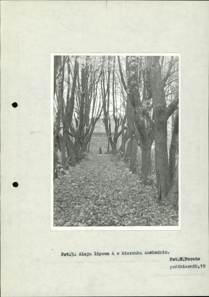 Ewidencja parkowa, skan nr 30