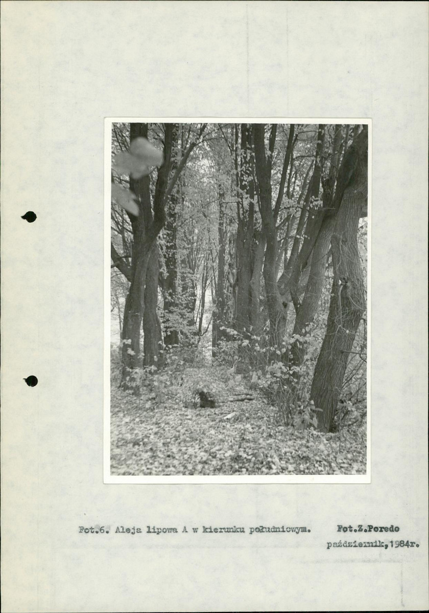 Ewidencja parkowa, skan nr 33