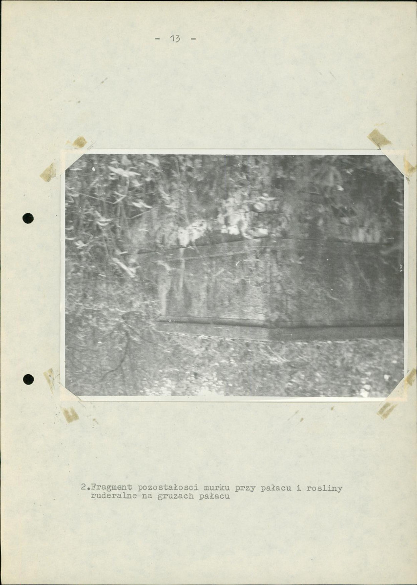 Ewidencja parkowa, skan nr 22