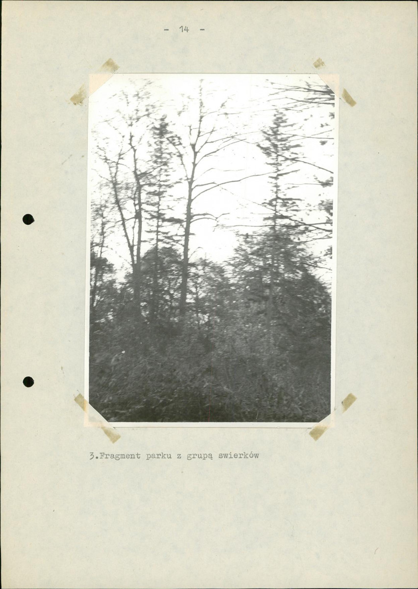 Ewidencja parkowa, skan nr 23