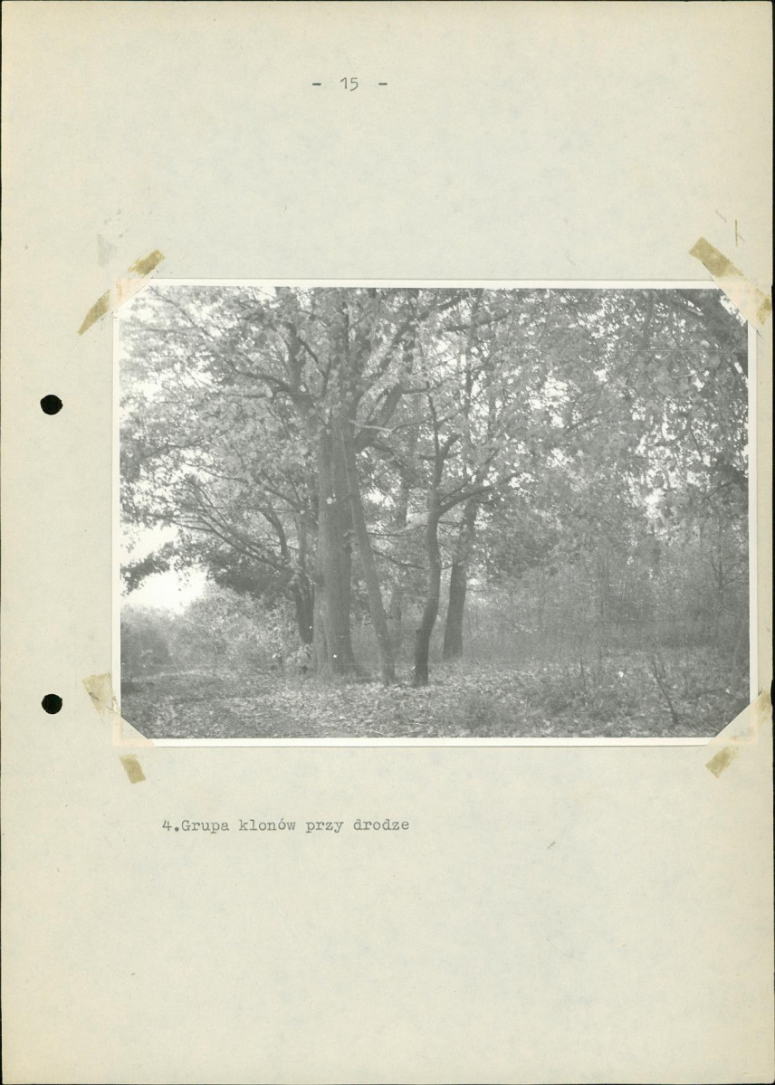 Ewidencja parkowa, skan nr 24
