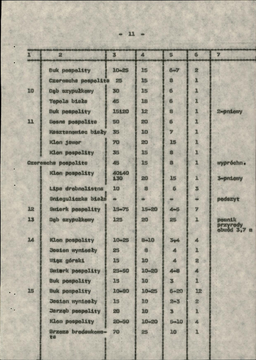 EP - Ewidencja parkowa, skan nr 19