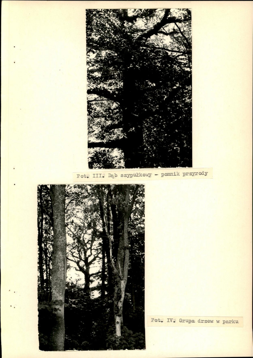 EP - Ewidencja parkowa, skan nr 31