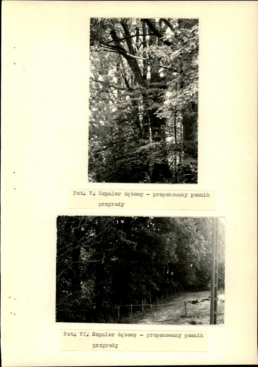 EP - Ewidencja parkowa, skan nr 32