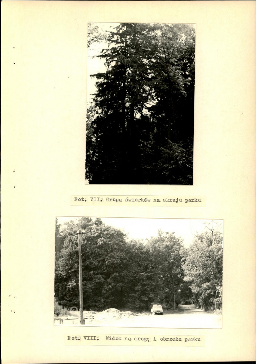 EP - Ewidencja parkowa, skan nr 33