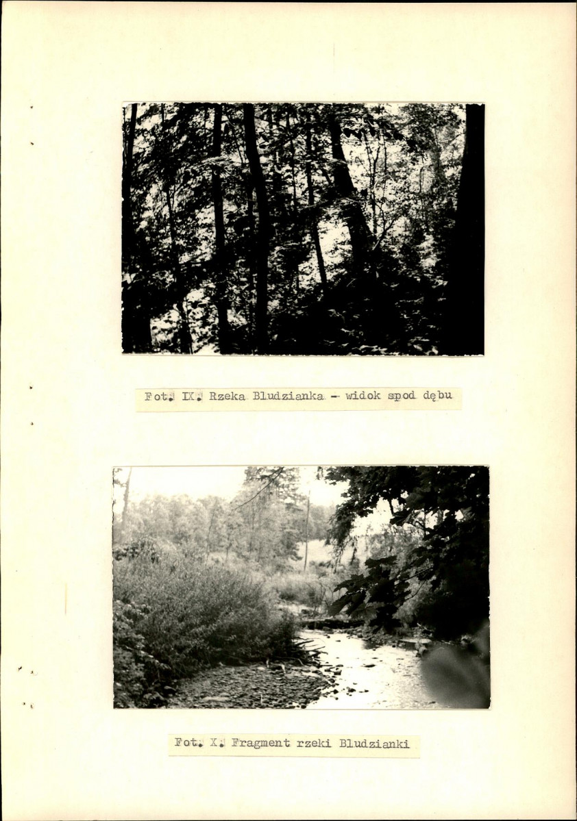 EP - Ewidencja parkowa, skan nr 34