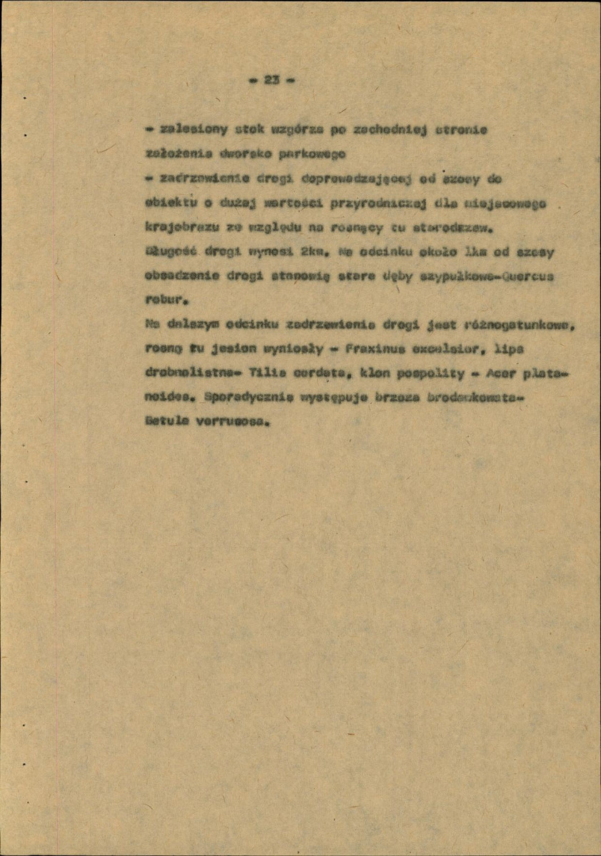 Ewidencja parkowa, skan nr 31