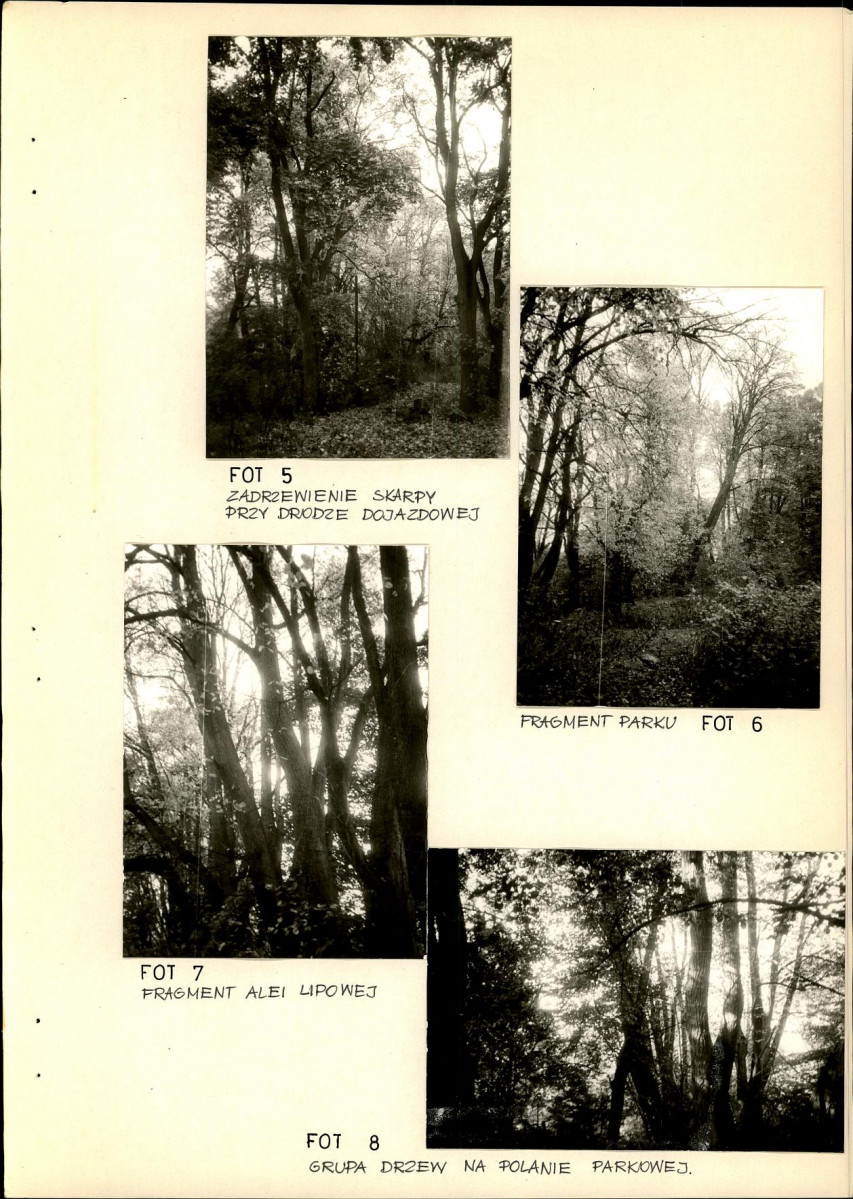 Ewidencja parkowa, skan nr 37