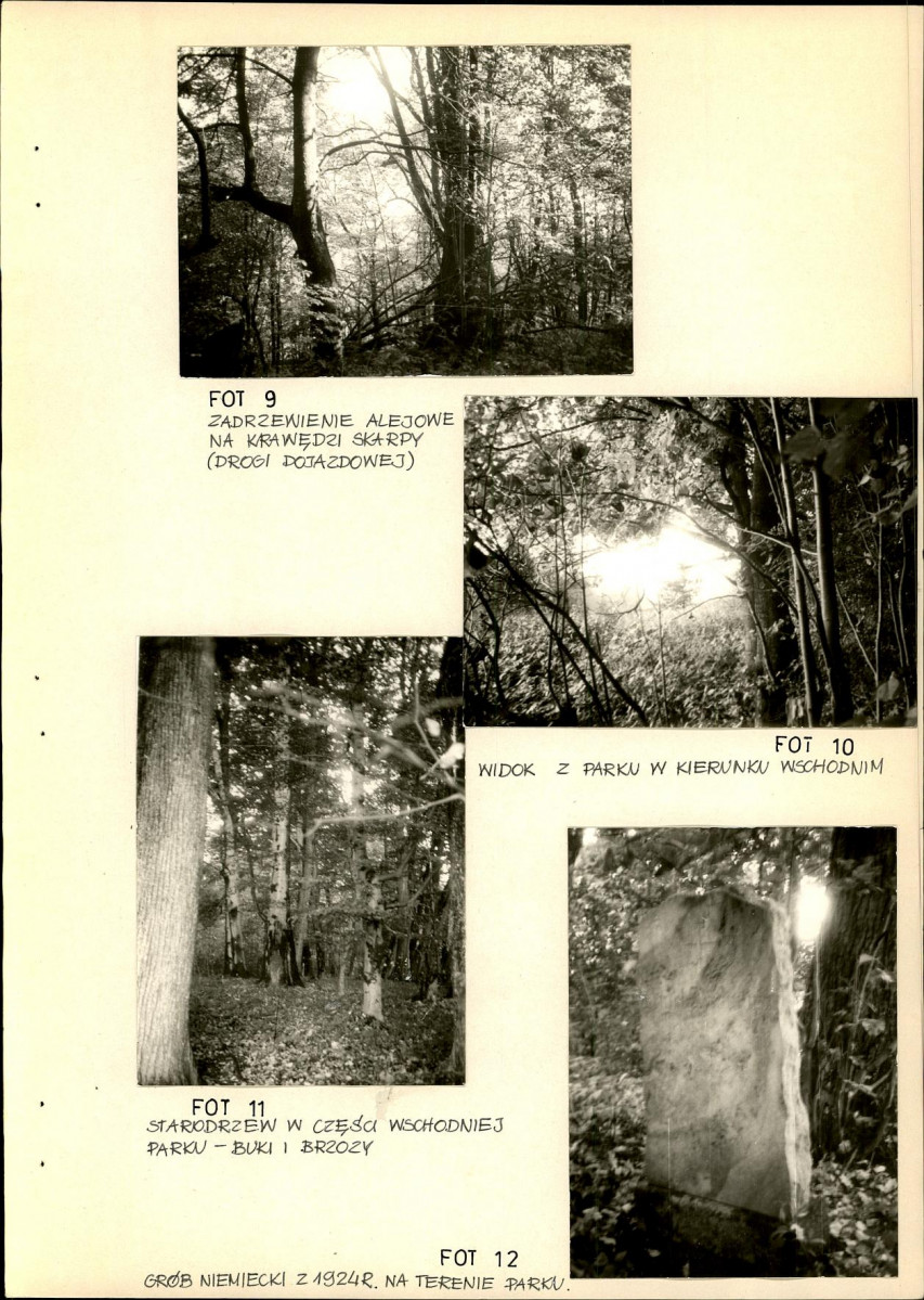 Ewidencja parkowa, skan nr 38