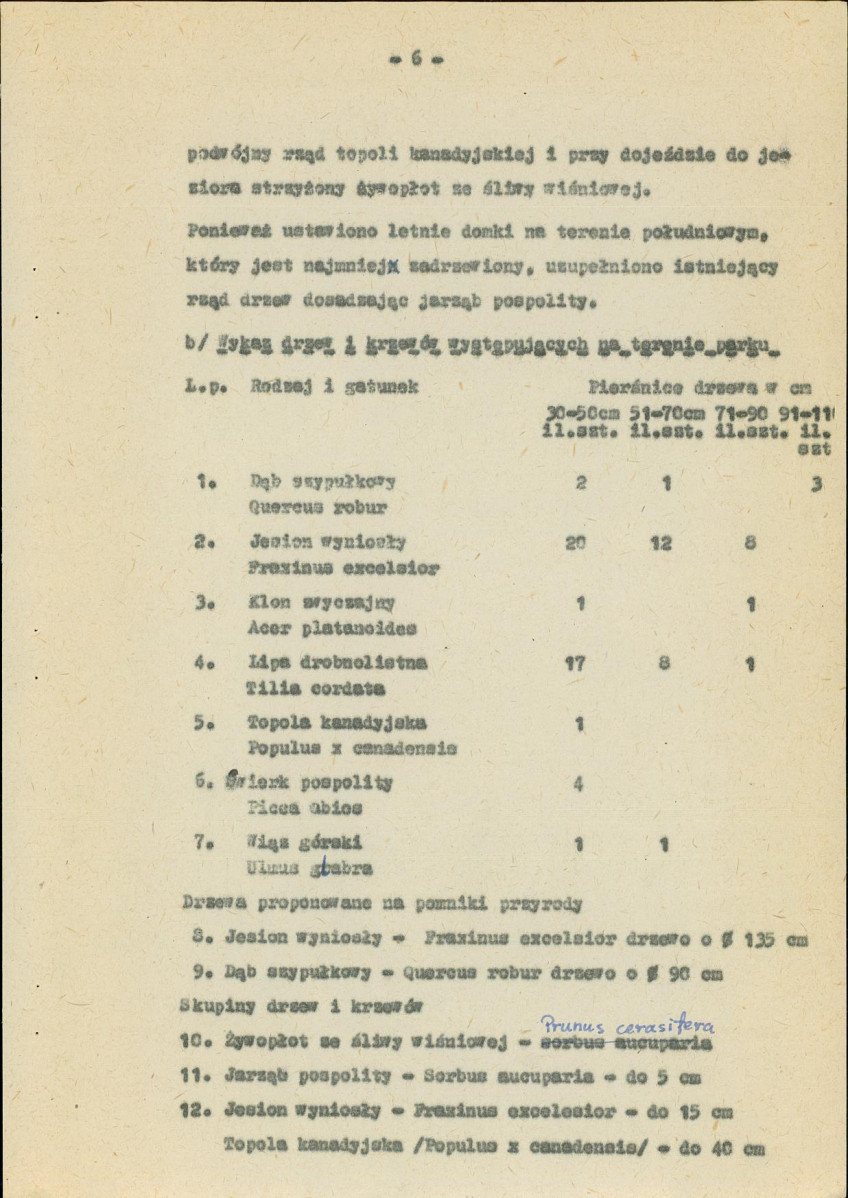 Ewidencja parkowa, skan nr 13