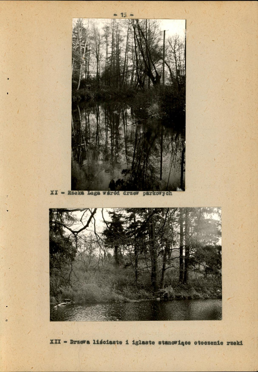 Ewidencja parkowa, skan nr 22