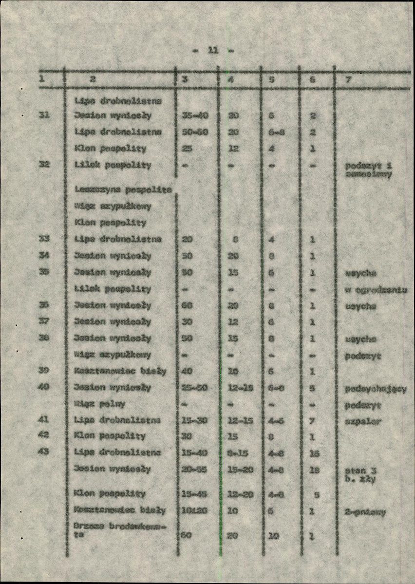 Ewidencja parkowa, skan nr 19