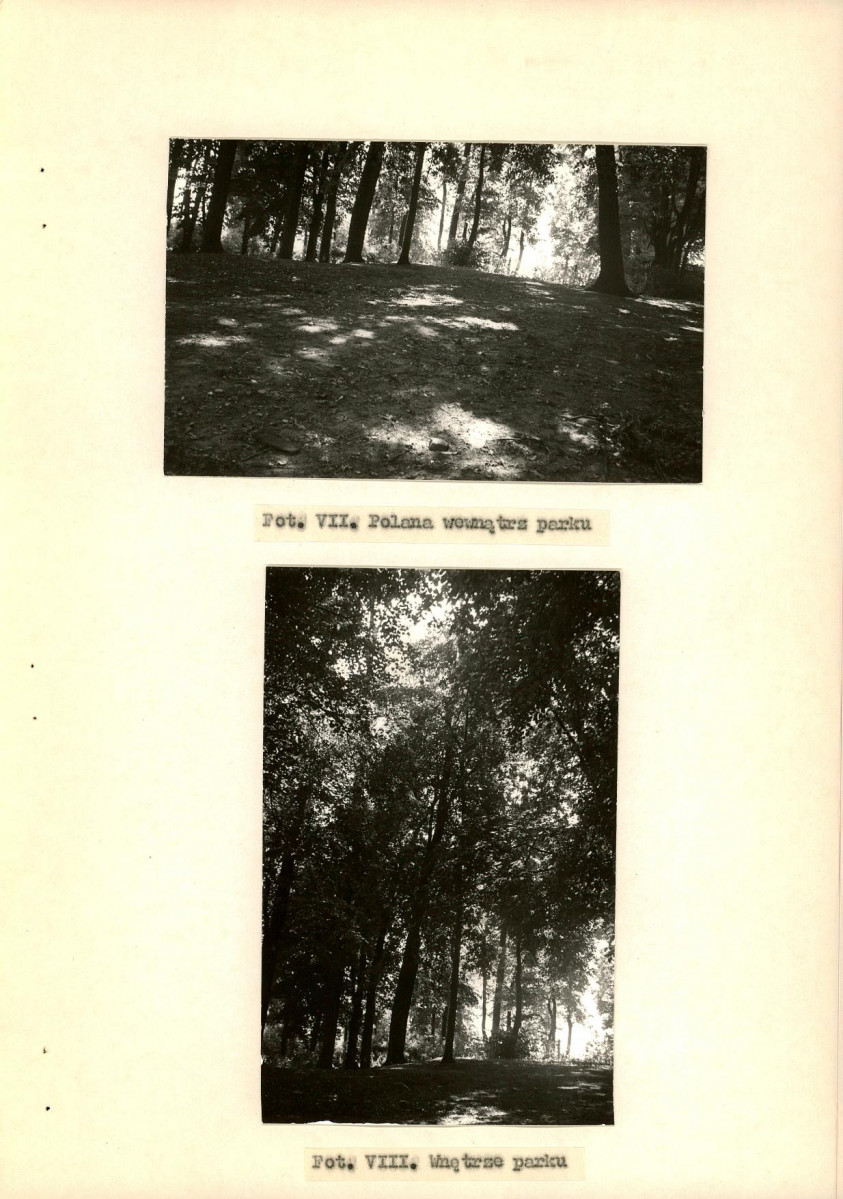 Ewidencja parkowa, skan nr 28