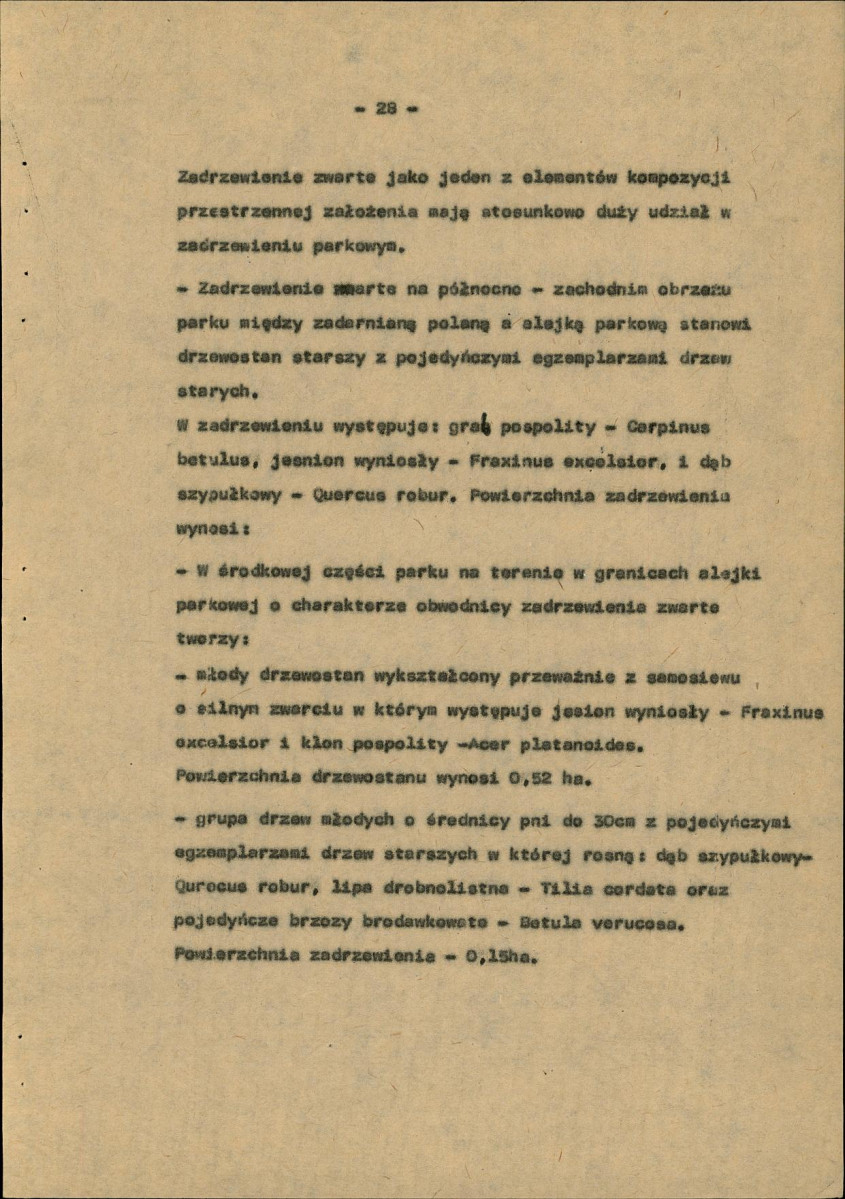 Ewidencja parkowa, skan nr 36