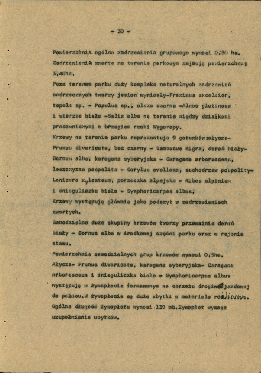 Ewidencja parkowa, skan nr 38